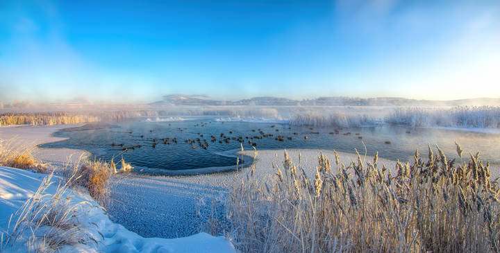 Голубая лагуна