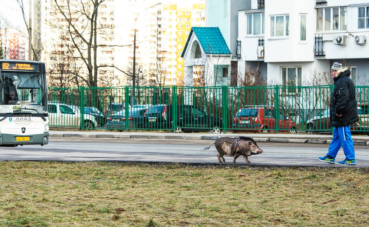 "Извини что опоздала - пришлось долго ждать автобус!"