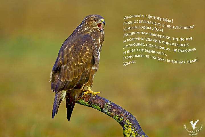 Поздравляю.