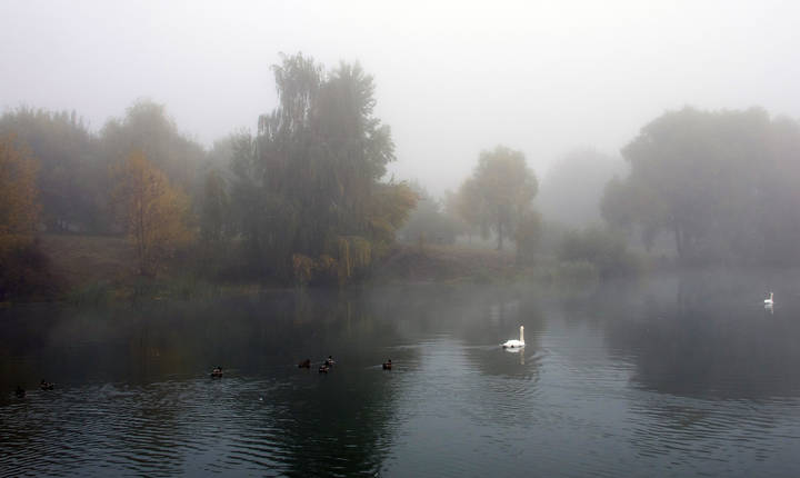 В тумане.