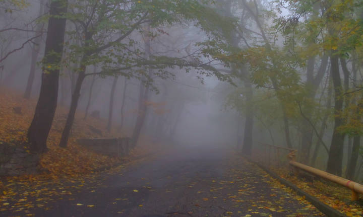 Утром туманным......