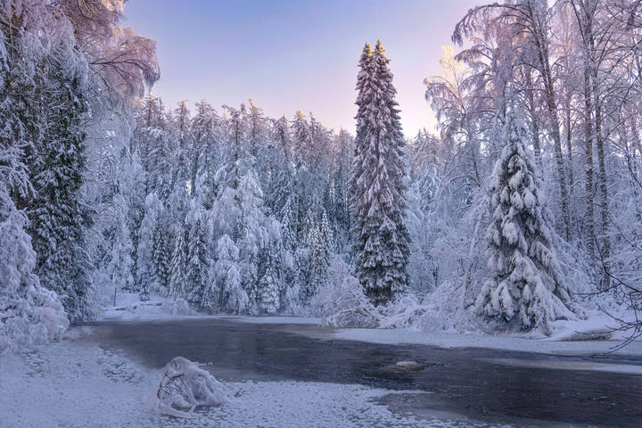 Линдуловская роща. Река Рощинка