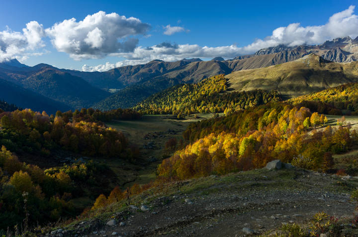 Абхазия осенняя 