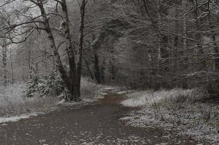 The sense of a Windy Winter... 