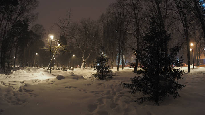Вечер в Зимнем Парке