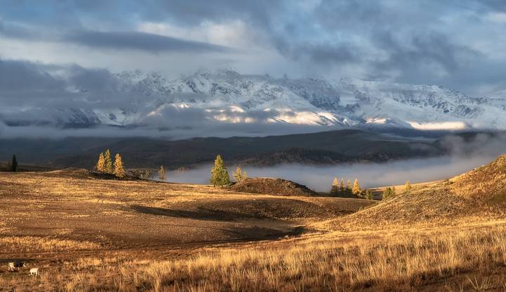 Алтайская осень