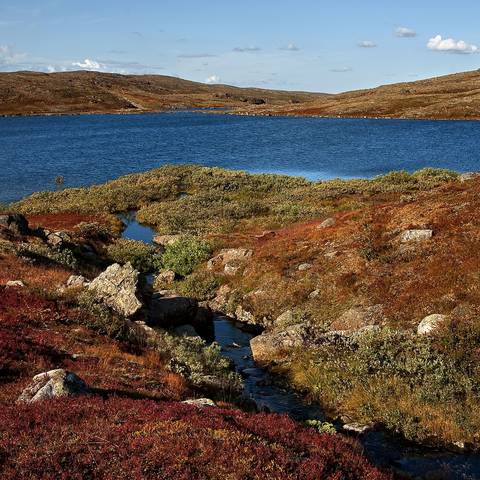 polar landscape - Petsamontunturit