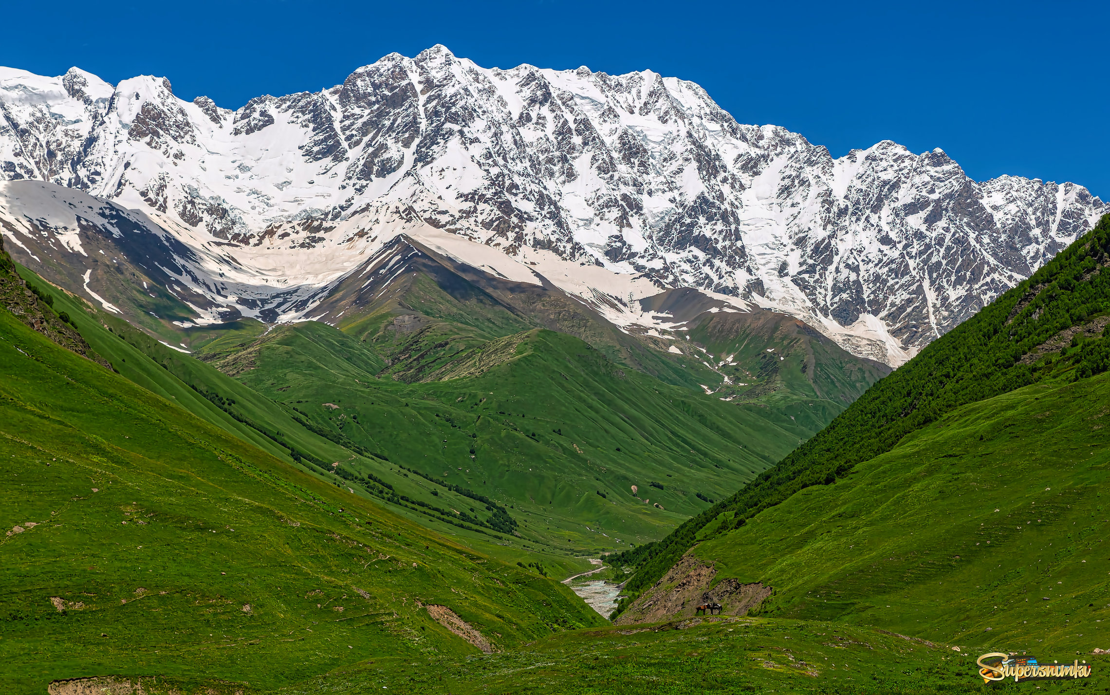 Кавказ. Верхняя Сванетия. Безенгийская стена и вершина Шхара