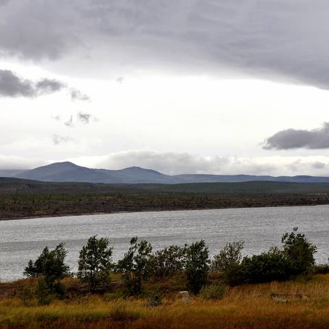 polar landscape
