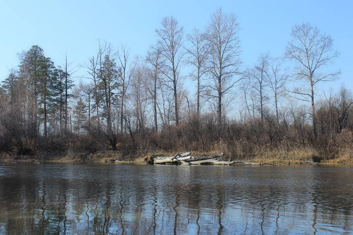 Поздняя осень