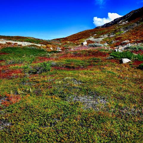 polar landscape - Petsamontunturit 