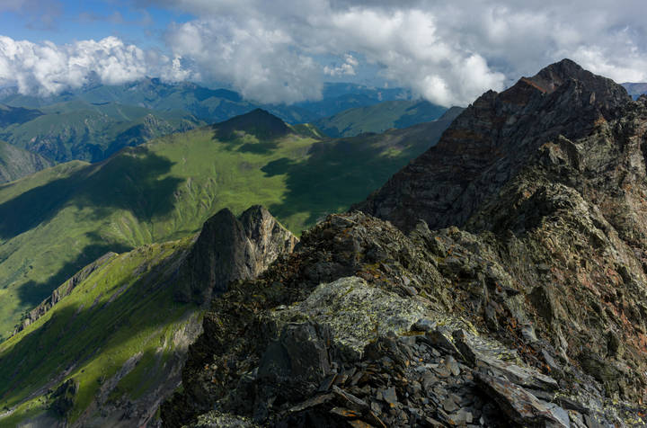 Псеашха южная. 