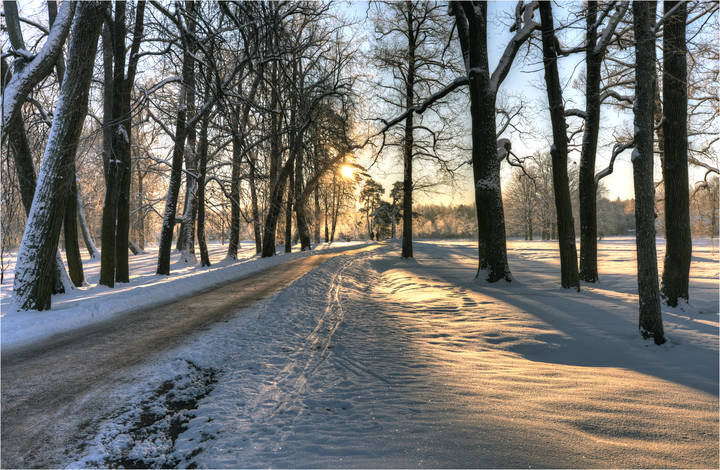 Морозный день