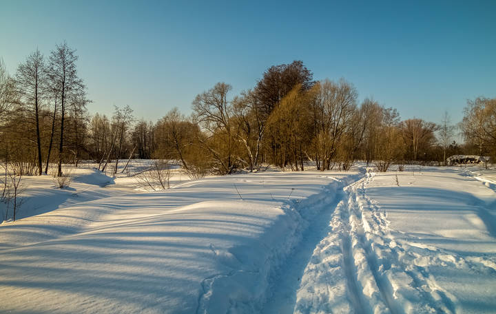 Февраль злится, но весну чует. 03 