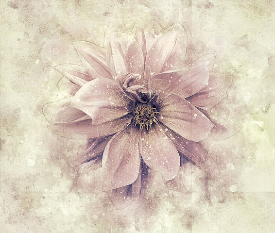 flo