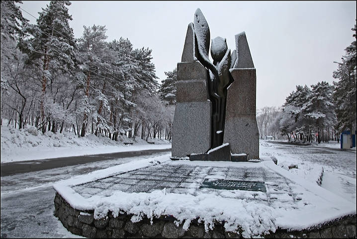 Черный тюльпан. Хабаровск