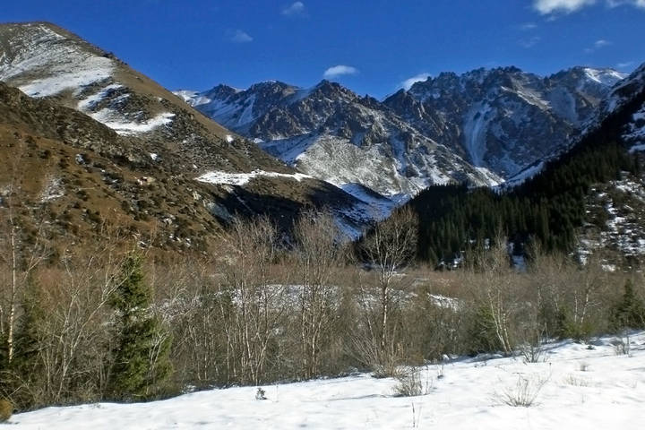 Ущелье Ала-Арча, Тянь-Шань