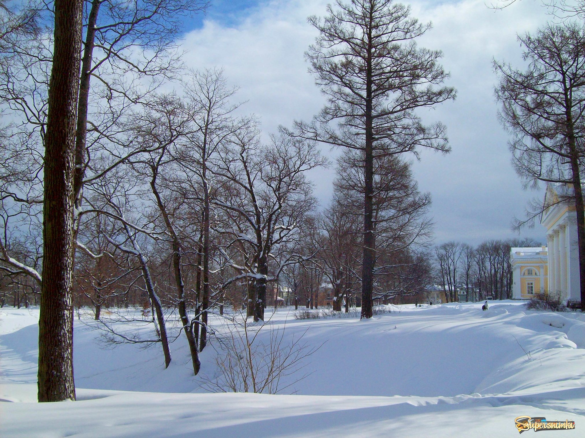 Зима в Александровском парке