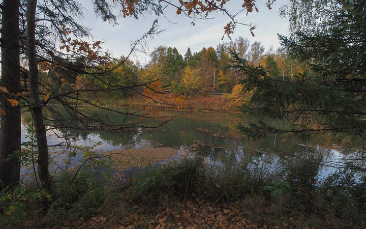 Осенняя Зарисовка