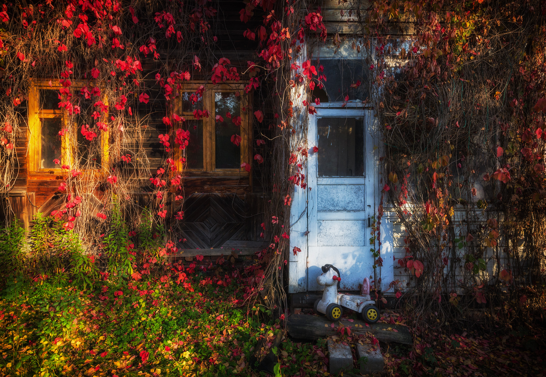 Последняя осень старого дома
