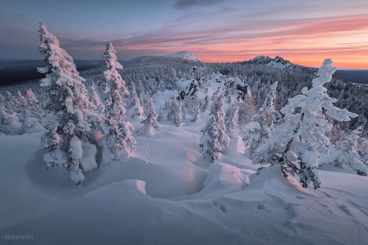 Круглица