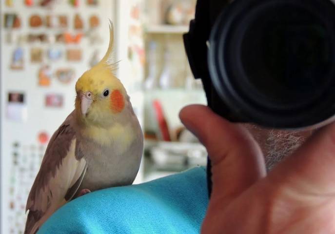 Фотографы