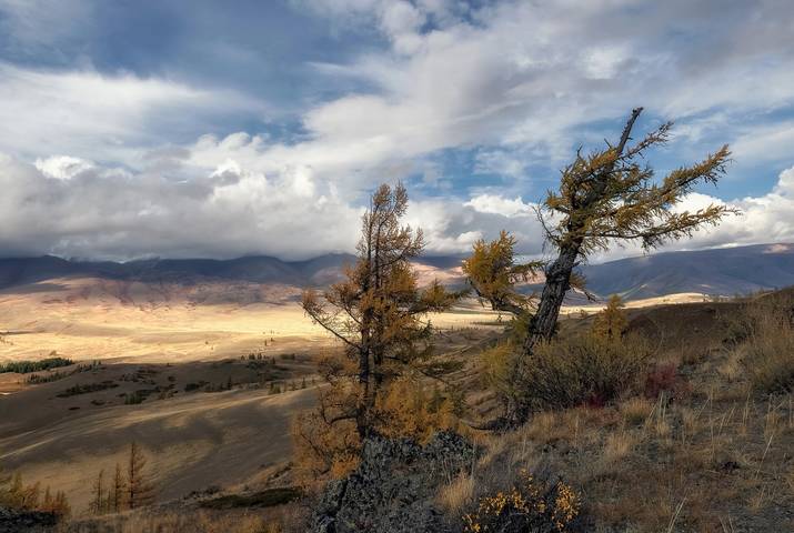 Алтайская осень