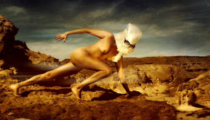 Series: Desert Fury
