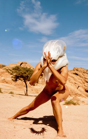 Series: Desert Fury 