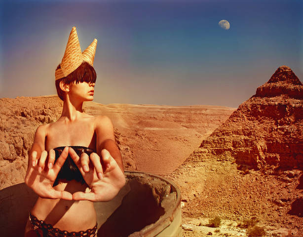 Series: Desert Fury