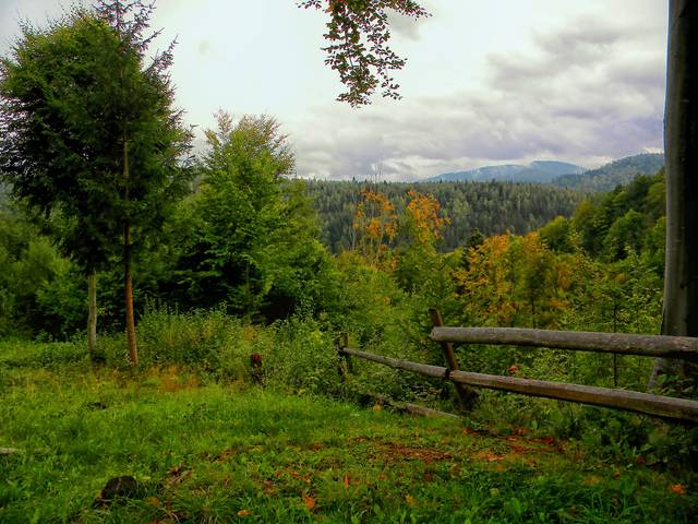 Родной край