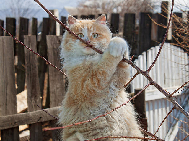 Любитель фотографироваться.)