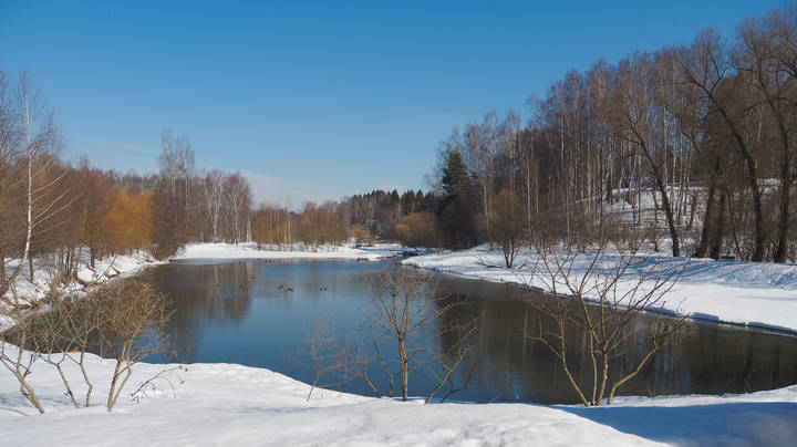 Весенняя Зарисовка