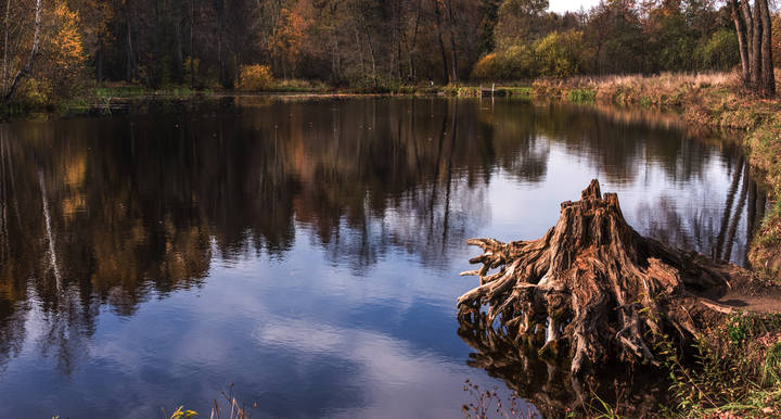 Осень в Середниково.