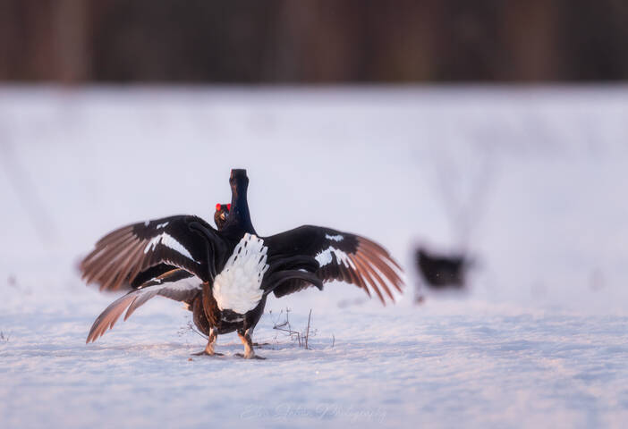 # 2