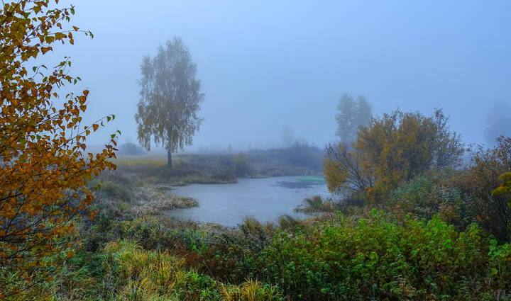 Осенняя грусть