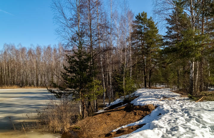 Весна, весна, весна. 04 