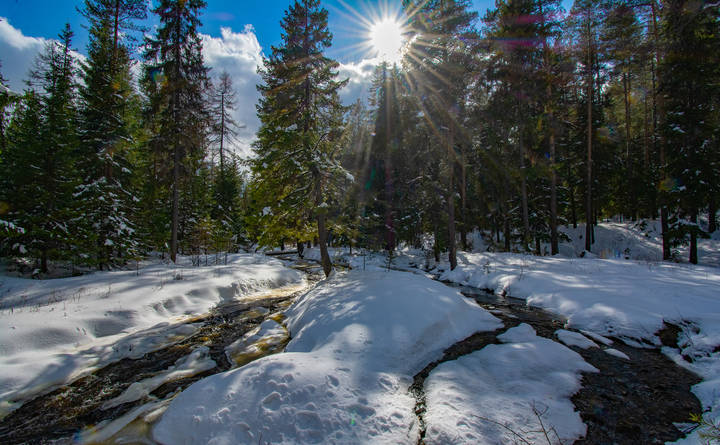 Весенний островок