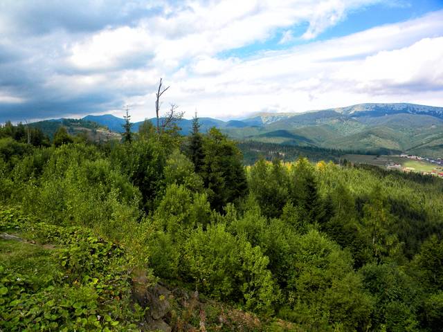 Родной край
