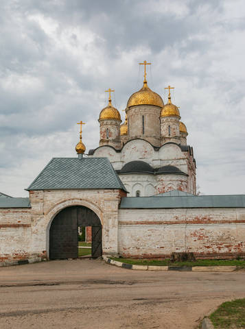  Лужецкий Ферапонтов мужской монастырь 