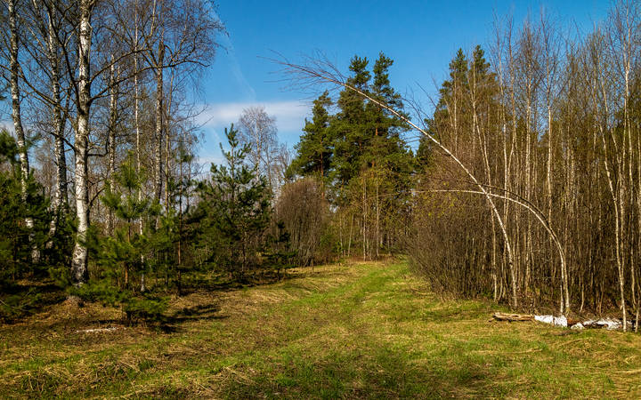 Настроение - Весна. 4 