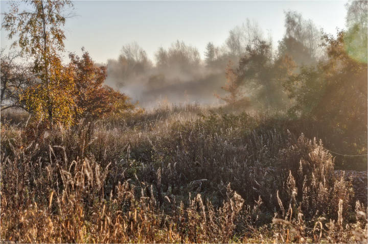 Утренняя зарисовка.