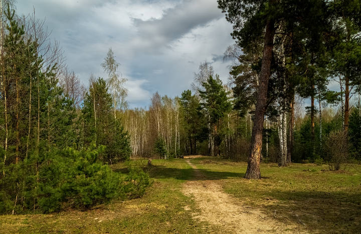 Настроение - Весна. 8