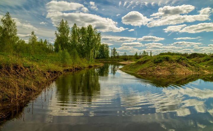 Вербное воскресенье в 2024 году 