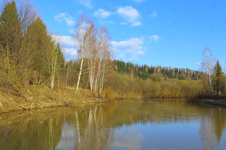 Вечерние размышления