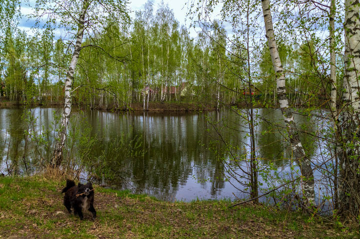 Вербное воскресенье в 2024 году. 4 