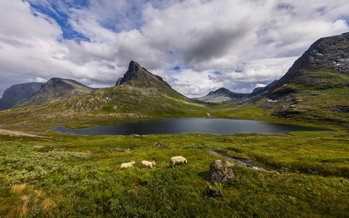 Горные долины Норвегии. 