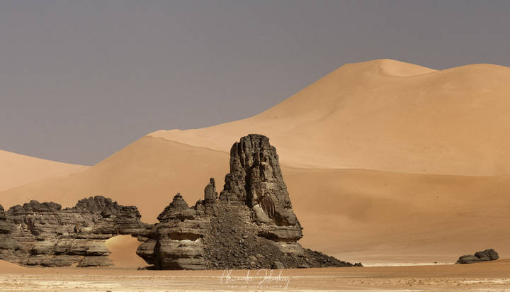 Три цвета пустыни