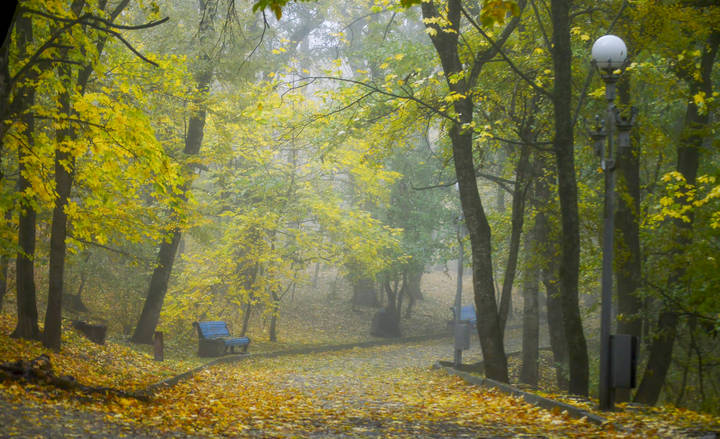 В парке осеннем.....