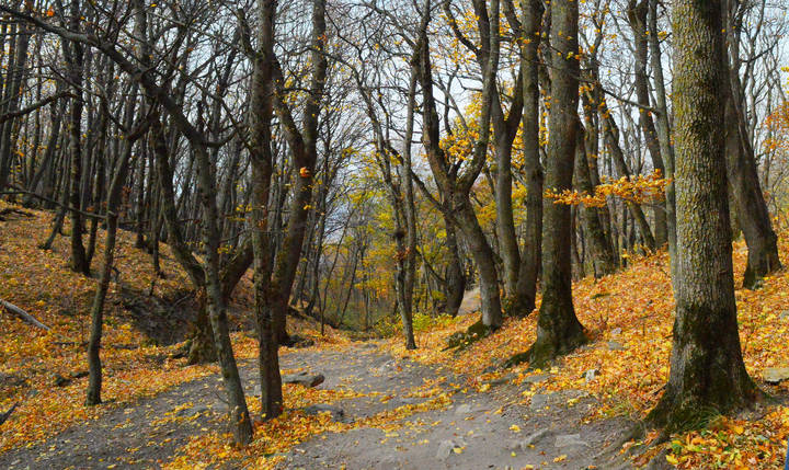 Кавказская осень......